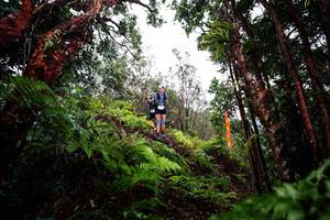 BIB: 
                            <button type="button" onclick="openModal(26201217)" class="btn btn-primary btn-sm float-right btn-popup" data-toggle="modal" data-target=".modal-high-quality">
                        <i class="fas fa-shopping-cart"></i> Add to Cart
                    </button>
                                            <button type="button" onclick="isThisMe(26201217, true)" class="btn btn-success btn-sm float-right btn-popup btn-isme hidden" data-toggle="tooltip" data-placement="bottom" title="นี่คือรูปของคุณใช่ไหม คลิกที่นี่เพื่อเอาเข้าอัลบั้ม">
                        <i class="fas fa-plus"></i> Add to album
                    </button>
                    <button type="button" onclick="isThisMe(26201217, false)" class="btn btn-warning btn-sm float-right btn-popup btn-isnotme hidden">
                        <i class="fas fa-ban"></i> Remove from album
                    </button>